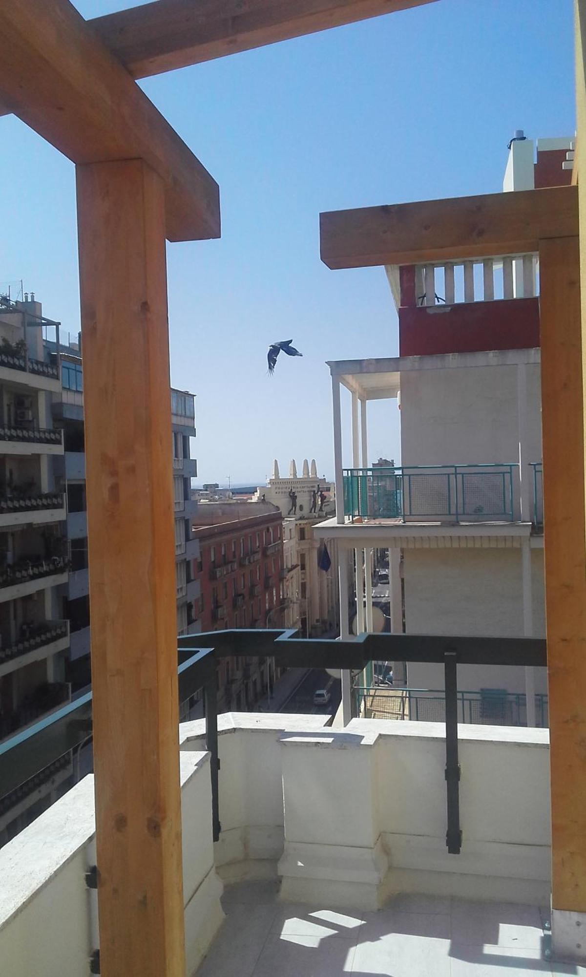 Holiday home Monolocale Sonnino Cagliari